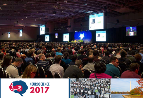 2017年神经科学年会盛况